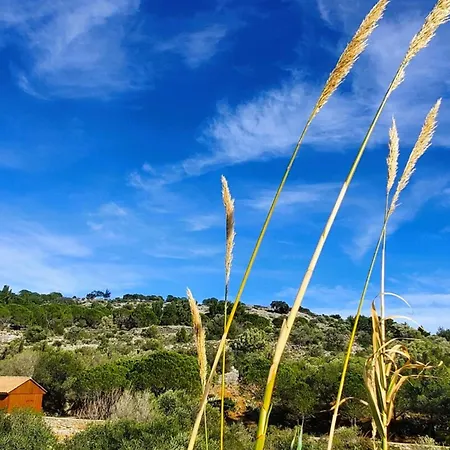 La Saline Maison Pour 6 Bel Exterieur Ferienhaus La Palme