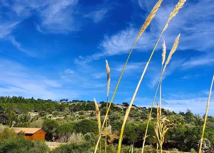 La Saline Maison Familiale Avec Jardin Holiday home La Palme